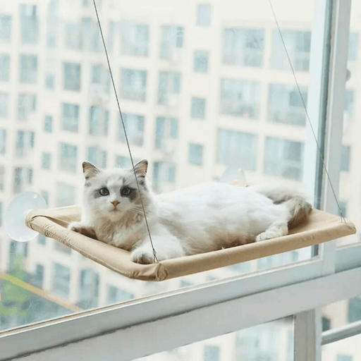 A white fluffy cat with blue eyes lounging comfortably on a khaki window-mounted cat hammock, with a cityscape visible through the window.