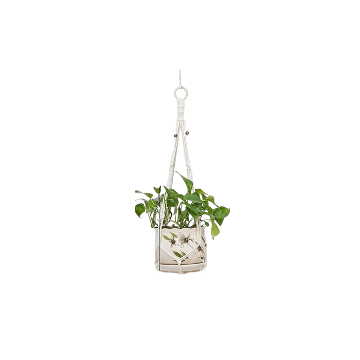 A single macrame plant holder with two tiers, each holding a white pot with green plants. The top pot has a design with brown dripping glaze.