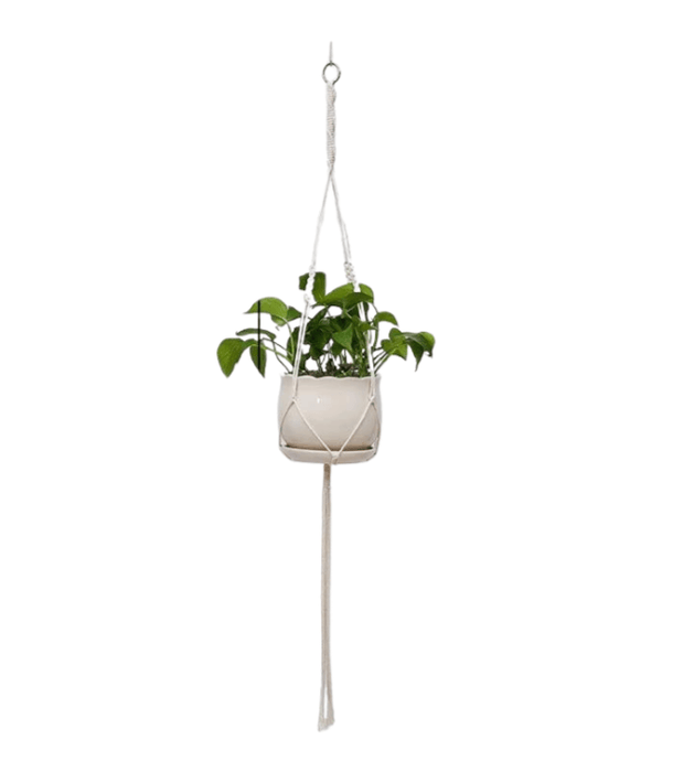 A single macrame plant holder with two tiers, each holding a white pot with green plants. The top pot has a design with brown dripping glaze.