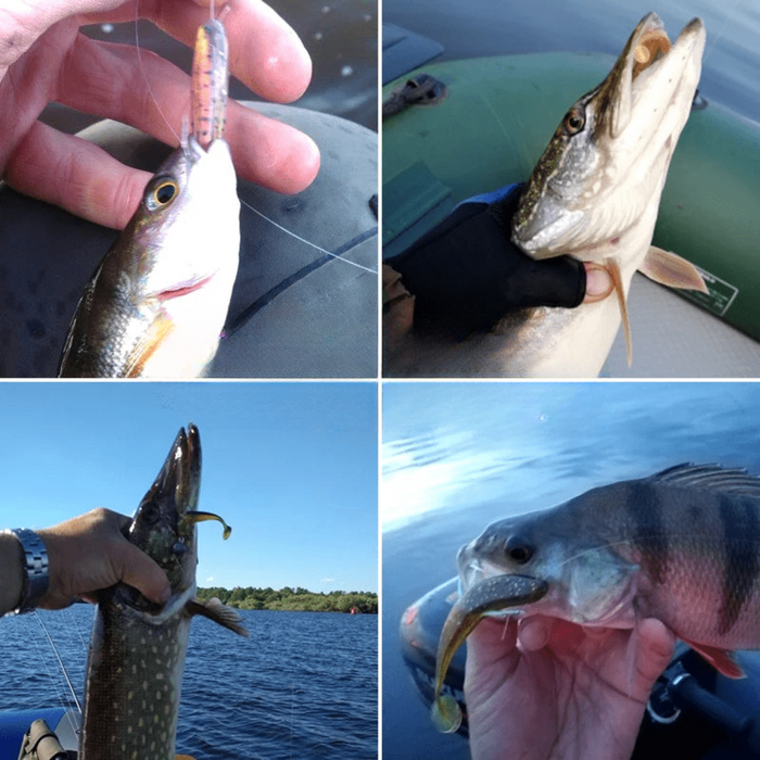 A collage of four images showing different types of fish caught using soft plastic fishing lures, highlighting the effectiveness of the lures in various fishing scenarios.