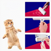  A collage of images showing a lint roller being used on a blue and red surface to remove pet hair, alongside a cute, surprised cat. The background of the images is white.