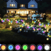 A garden party scene with solar-powered garden lights glowing in multiple colors, decorating the garden and creating a festive ambiance. The inset shows different color options for the lights.