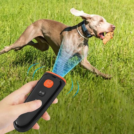 A handheld device being used to train a dog in a grassy field. The device features two icon buttons for operation, and it appears to emit a blue virtual signal towards a Weimaraner dog actively catching a toy. The scenario demonstrates the device's application in dog training, emphasizing remote control and interaction.