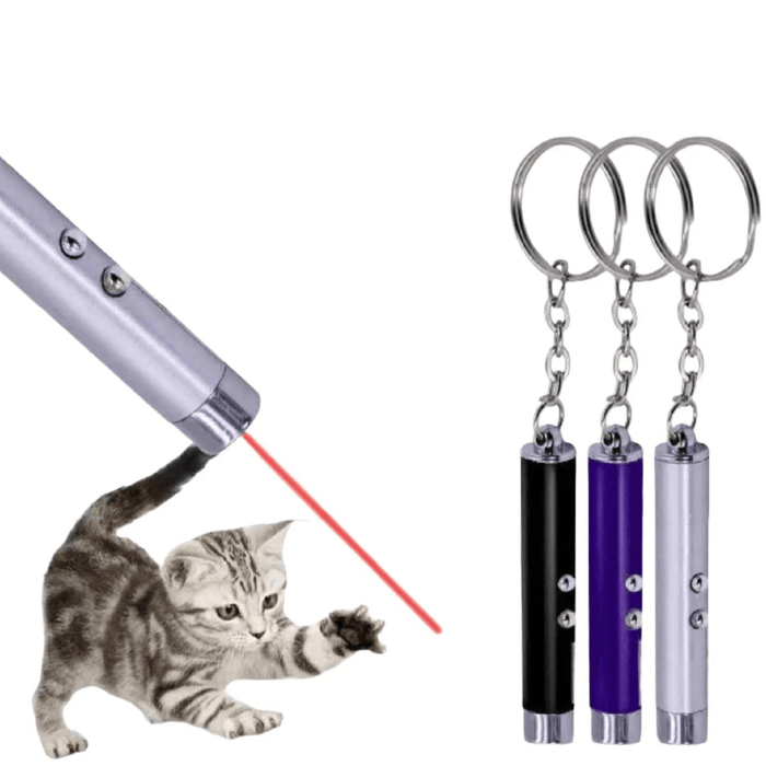 Mini Laser Pen