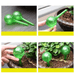 Collage of plant watering bulbs in pots with flowers and greenery, featuring both green and clear bulbs in decorative pots.