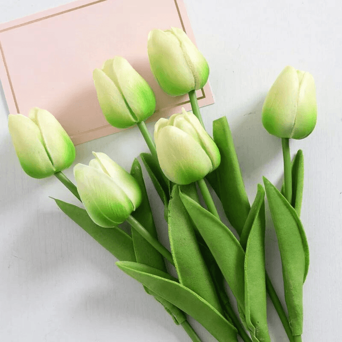 A bouquet of light green tulips with green leaves.