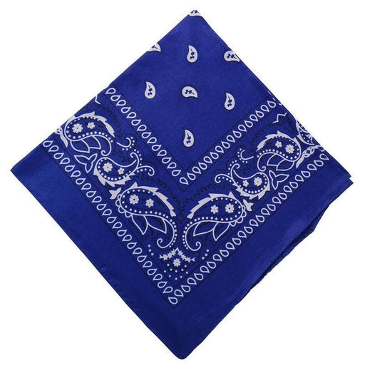 A blue paisley bandana displayed folded.