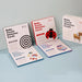 A display of five different packs of "Baby Visual Stimulus Cards," each pack designed for different age groups, ranging from 0-3 months to 6-12 months, with varied illustrations on the covers such as concentric circles, a ladybug, a rocket, and stacked books.