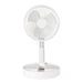 White fan in a minimalist design.