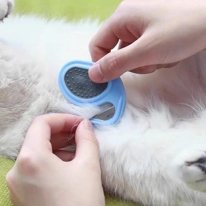 A close-up of hands using a blue pet grooming tool to remove loose fur from a cat.