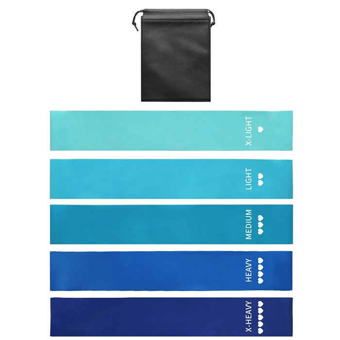 A set of five resistance bands, each in a different shade of blue. The bands are labeled from top to bottom: "X-LIGHT," "LIGHT," "MEDIUM," "HEAVY," and "X-HEAVY," with small heart icons indicating the resistance level. A black drawstring bag above them.