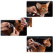 Grey pet collar being fitted on a cat.