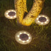 A nighttime photo of solar garden lights placed around the base of a tree, illuminating the trunk and surrounding grass with a warm, ambient light.