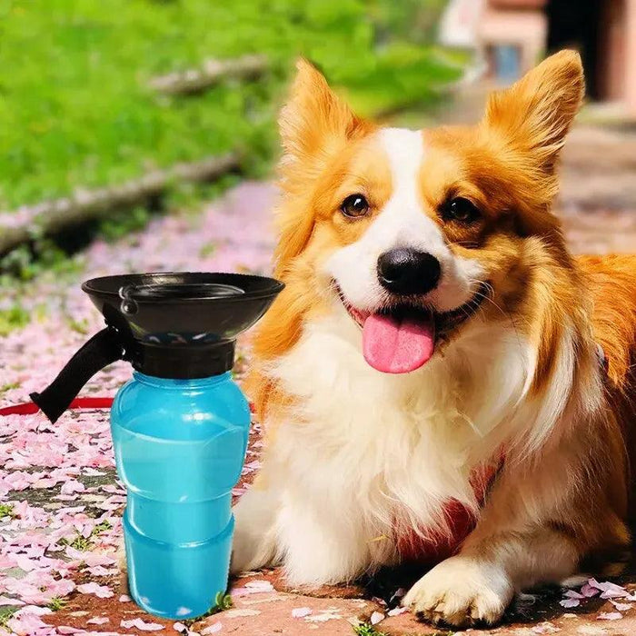 Dog Water Bottle next to a dog