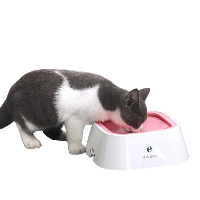 Cat drinking from a white pet bowl with a pink interior.