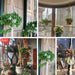 Four images of hanging macrame plant holders displayed in various settings: on a balcony with greenery, by a window with a city view, and in an indoor plant shop with different plant arrangements.