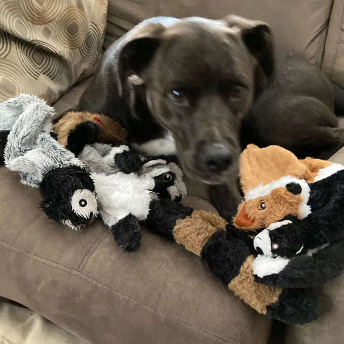 A black dog sitting on a couch surrounded by various plush animal toys, including a fox, a skunk, and a penguin.