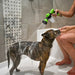 A person using a green and black hose nozzle with soap dispenser to wash a dog in a bathroom.