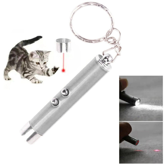 Laser pointer keychain with flashlight for cat play.