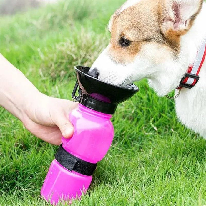 Dog drinking from the dog Water Bottles