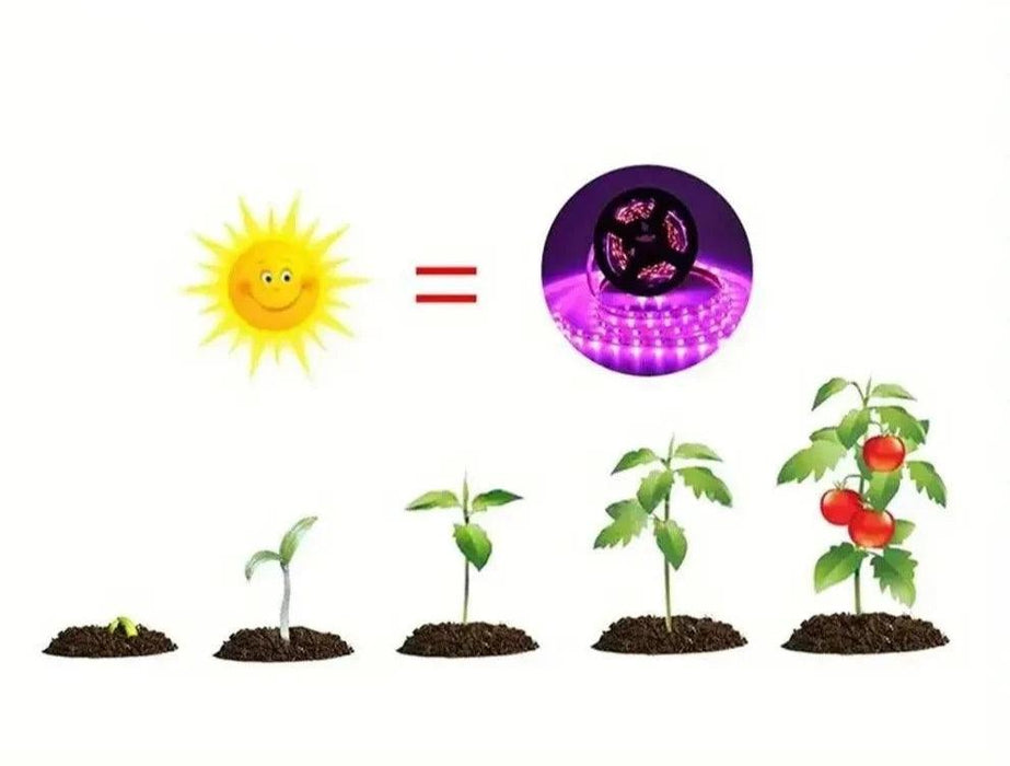 Plant Grow LED Lights examples the plant growth