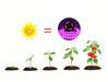 Plant Grow LED Lights examples the plant growth