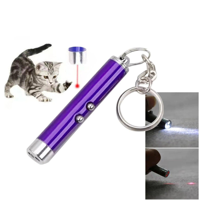 purple Laser pointer keychain with flashlight for cat play.