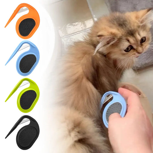 A kitten being groomed with a blue tool, alongside other tool colors: orange, blue, green, and black.