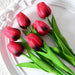 A bunch of red tulips with dark tips, set against a white decorative plate.