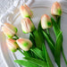 A bouquet of tulips with a light orange and green gradient and green leaves on a white plate.