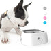 Dog looking at a white pet bowl with a grey interior, showcasing four color options.