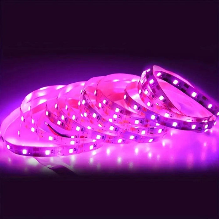 purple Plant Grow LED Lights